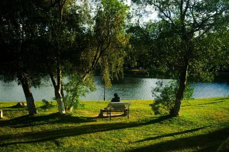 Your Brain on a Day Off: The Science That Makes Rest Non-Negotiable